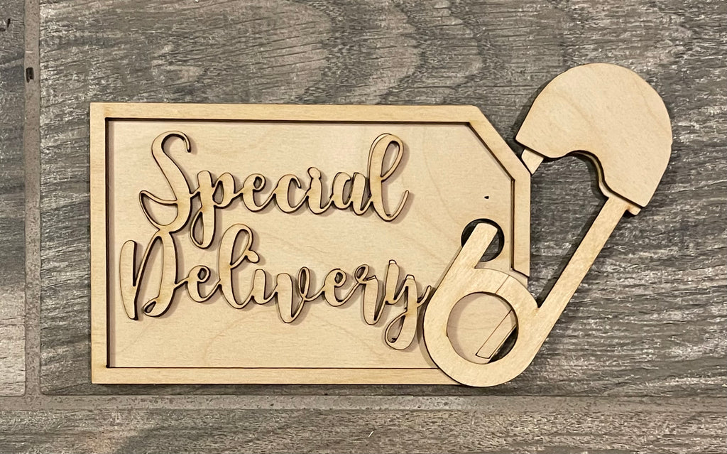 A wooden sign that says special delivery, perfect for DIY paint and decorate enthusiasts or those looking to add a charming touch to their Baby Tiered Tray DIY Kit - Baby Shower, Gender Reveal Wood Blanks décor with unique wood items from Little August Ranch.